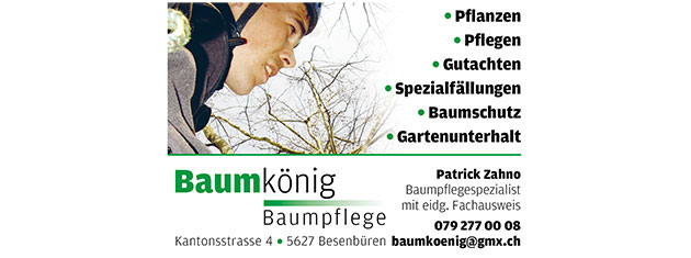 Vinaora Nivo Slider 3.x